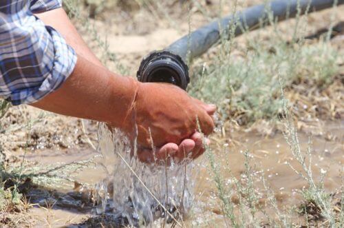 Информационная кампания по проекту «Улучшение управления пастбищами и животноводством в Чуйской и Таласской областях»