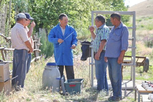 Информационная кампания по проекту «Улучшение управления пастбищами и животноводством в Чуйской и Таласской областях»