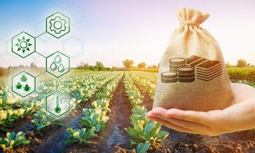 Providing support in establishing effective partnerships for value chain financing between JSCB Kyrgyzstan and agricultural processors