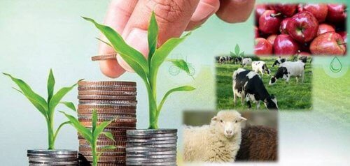 Оценка возможностей для реализации финансовых механизмов или решений в цепочках добавленной стоимости в южных областях Кыргызской Республики